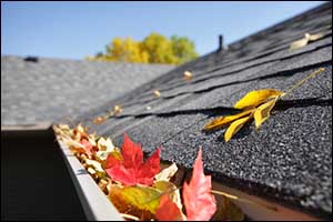 Fall Homeowner Tips in New Bedford, MA