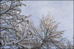 New Bedford Homeowners Winter