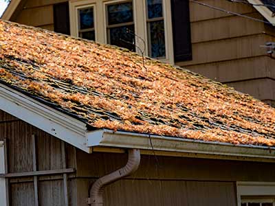 new bedford homeowners insurance roof repair